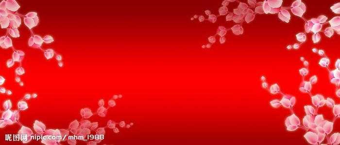 科隆商学院经济学文凭证书